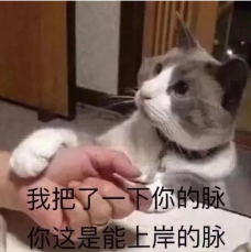 考公先拿考研當(dāng)跳板，試試考研選這些專(zhuān)業(yè)“真香”！